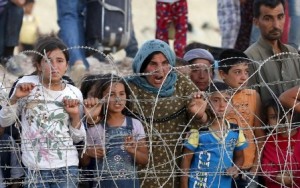 pengungsi syria